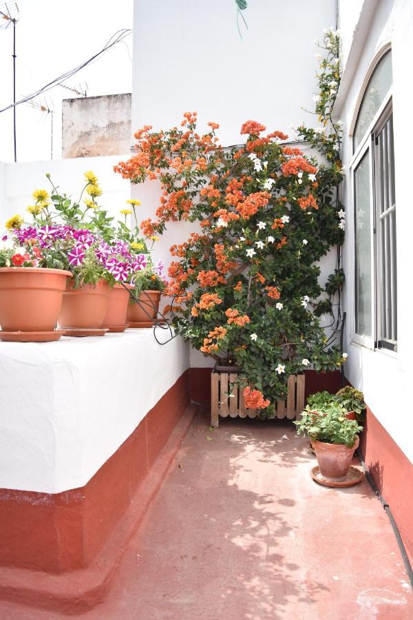 Apartamento Veedor 12 Cádiz Exterior foto
